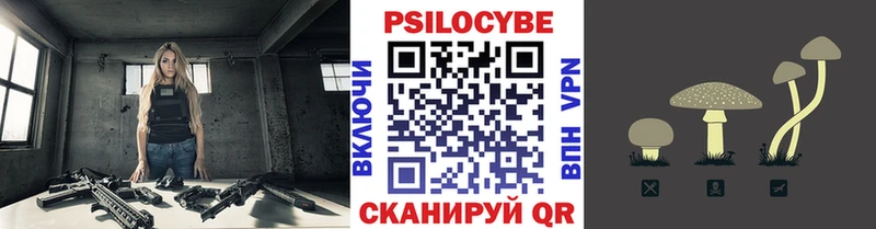 Купить где  Озёрск  Галлюциногенные грибы Psilocybine cubensis 